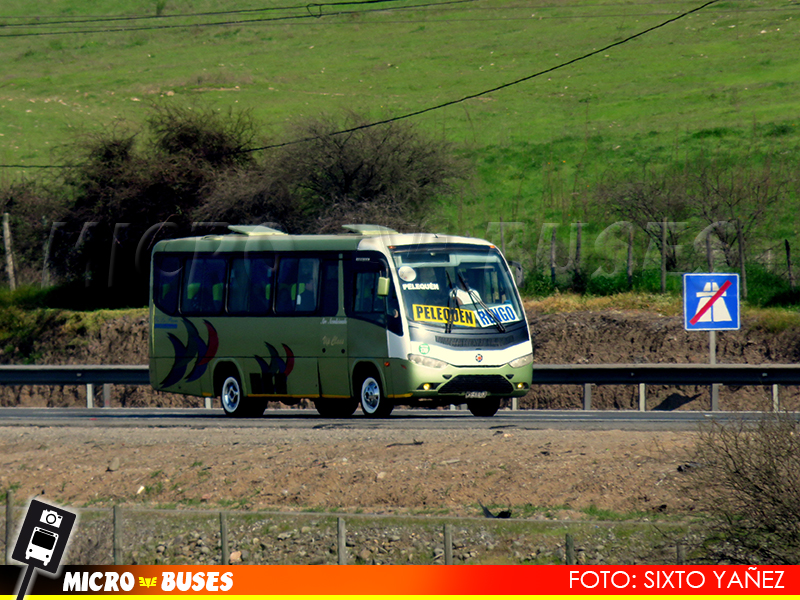 Buses Galgo Omnibus | Marcopolo Senior - Mercedes Benz LO-915