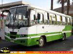 Ashok Leyland / Eagle 814 / Línea 4 - Tour Microbuses 2015 Arica