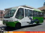 Linea 5 Arica | Maxibus Astor - Mercedes Benz LO-914