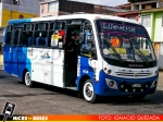 Linea 110 TransAntofagasta | Busscar Micruss - Mercedes Benz LO-915