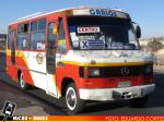 Linea X Calama | Inrecar Taxibus 96' - Mercedes Benz LO-814