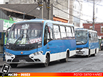 Linea 1 Iquique | Marcopolo Senior - Mercedes Benz LO-915