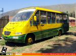 Buses Salas Hermanos | Metalpar Pucarà 2000 - Mercedes-Benz LO-914