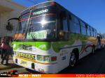 Inrecar Bus 94' Ecologico / Mercedes Benz OF-1318 / Buses San Julian