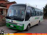 Surtrans, Servicio Subsidiado Lo Martinez - Sta. Juana | Yutong Taxibus 2020 - ZK6729D