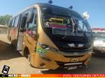 Buses Koely, Colina | Mascarello Gran Micro S4 - Mercedes Benz LO-916