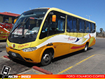 Buses Palacios | Marcopolo Senior - Mercedes Benz LO-915