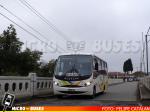 Buses Pirehueico, Valdivia | Busscar Micruss Ejecutivo - Mercedes Benz LO-914