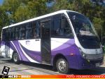 Buses Taguatur, Peumo VI Region | Zhongtong Bus Taxibus 2023 - LCK6850D Cummins