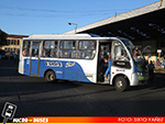 Voga Bus | Caio Piccolo - Mercedes Benz LO-914