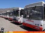 Panoramica Flota de Buses ''Enchulados'' / VerArcos
