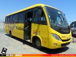 Buses Vargas, Unidad de Stock | Marcopolo New Senior - Mercedes Benz LO-916