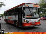 Linea 510 Iselin, San Rafael de Mendoza | Carrocerias La Favorita - Mercedes Benz OF