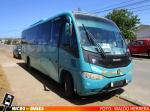 Bernal Bus, Quintero | Marcopolo Senior Ejecutivo - Mercedes Benz LO-915