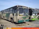 Caio Urbana Vitoria / Mercedes Benz OF-1318 / Ex Buses Dhino`s