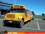 Blue Bird / International 3300 / Bus Escolar (Temuco)