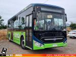 Bus Municipal Isla De Maipo | Zhong Tong Bus 2021 Electrico - LCK6106EVG