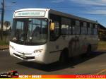 Metalpar Puelche Evolution / Mercedes Benz OF-1218 / Bus Escolar Osorno