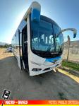 Tptes. Amenabar, Peñaflor | Busscar Optimuss Ejecutivo - Chevrolet NQR 916 Isuzu