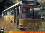 Dimex Casa Bus / 654-210 / Linea 703