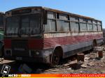 Particular | Ciferal Urbano Bus 71' - Scania B-111