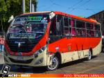 Buses Gran Valparaiso S.A. U9 TMV | Mascarello Gran Micro S3 - Mercedes Benz LO-916