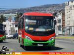 Buses Gran Valparaiso S.A. U5 TMV | Marcopolo New Senior G7 - Mercedes Benz LO-916