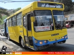 Nueva Buses San Antonio | Metalpar Petrohue 2000 - Mercedes Benz OH-1420