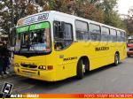Linea 210 - Dia del Patrimonio 2023 Santiago | Maxibus Urbano 2000 - Mercedes Benz OH-1420