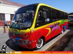 Buses San Julian, Ovalle | Busscar Micruss Ejecutivo - Mercedes Benz LO-915