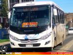 Buses Piña y Madrid | Marcopolo New Senior G7 Ejecutivo - Mercedes Benz LO-916