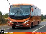 Buses Gonzalez, Melipilla | Marcopolo New Senior G7 Ejecutivo - Mercedes Benz LO-916