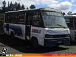 Caricar Isla de Maipo Taxibus 99' / Dimex 433-160 / Linea 2 Temuco