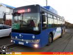 Linea 2, Via Austral Punta Arenas | King Long Bus 2018 - XMQ6900G