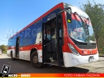 Zona C05 RedBus Urbano | Marcopolo Torino Low Entry - Scania K280B