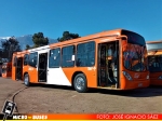 Zona D Express | Marcopolo Gran Viale - Volvo B7R