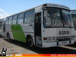 Express de Santiago Uno S.A., Troncal 4 | Inrecar Bus 95' Ecologico - Mercedes Benz OF-1318