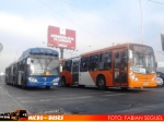 CAIO Mondego LA & Marcopolo Gran Viale / Volvo B9SALF & B7R LE / Su Bus S.A & Express de Santiago Uno S.A