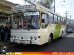 Buses Gran Santiago S.A., Troncal 3 | Metalpar Petrohue Ecologico - Mercedes Benz OH-1420