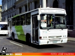 Troncal 5 Buses Metropolitana | Maxibus Urbano - Mercedes Benz OH-1420