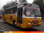 Linea 240 | Ciferal GLS Bus - Mercedes Benz OH-1420