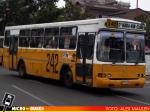 Linea 242 | Carrocerias Menabus Bus 97' - Mercedes Benz OH-1420