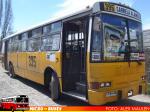 Dimex Casa Bus / 654-210 / Linea 395