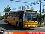 Linea 676 | Metalpar Petrohue Ecologico 2000 - Mercedes Benz OH-1420
