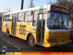 Linea 806 | BUS Tango 04 - Mercedes Benz OHL-1320