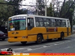 Reco Amei MTU-316 / Dimex 654-210 / Linea 200