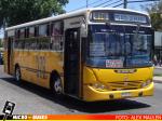 Linea 376 | Busscar Urbanuss - Mercedes Benz OH-1420