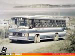 Queilen Bus | Inrecar Bus Rural 80' - Mercedes Benz LPO-1113