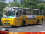 Ciferal GLS Bus / Mercedes Benz OH-1420 / Linea 618