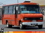 Linea 113 Arica | Inrecar Taxibus 91' - Mercedes Benz LO-809